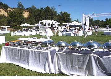 Luxurious outdoor spread provided 
            by Metro City Wings Catering at P. Diddy's All White 4th of July event.